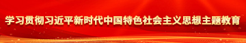 操逼激情视频学习贯彻习近平新时代中国特色社会主义思想主题教育